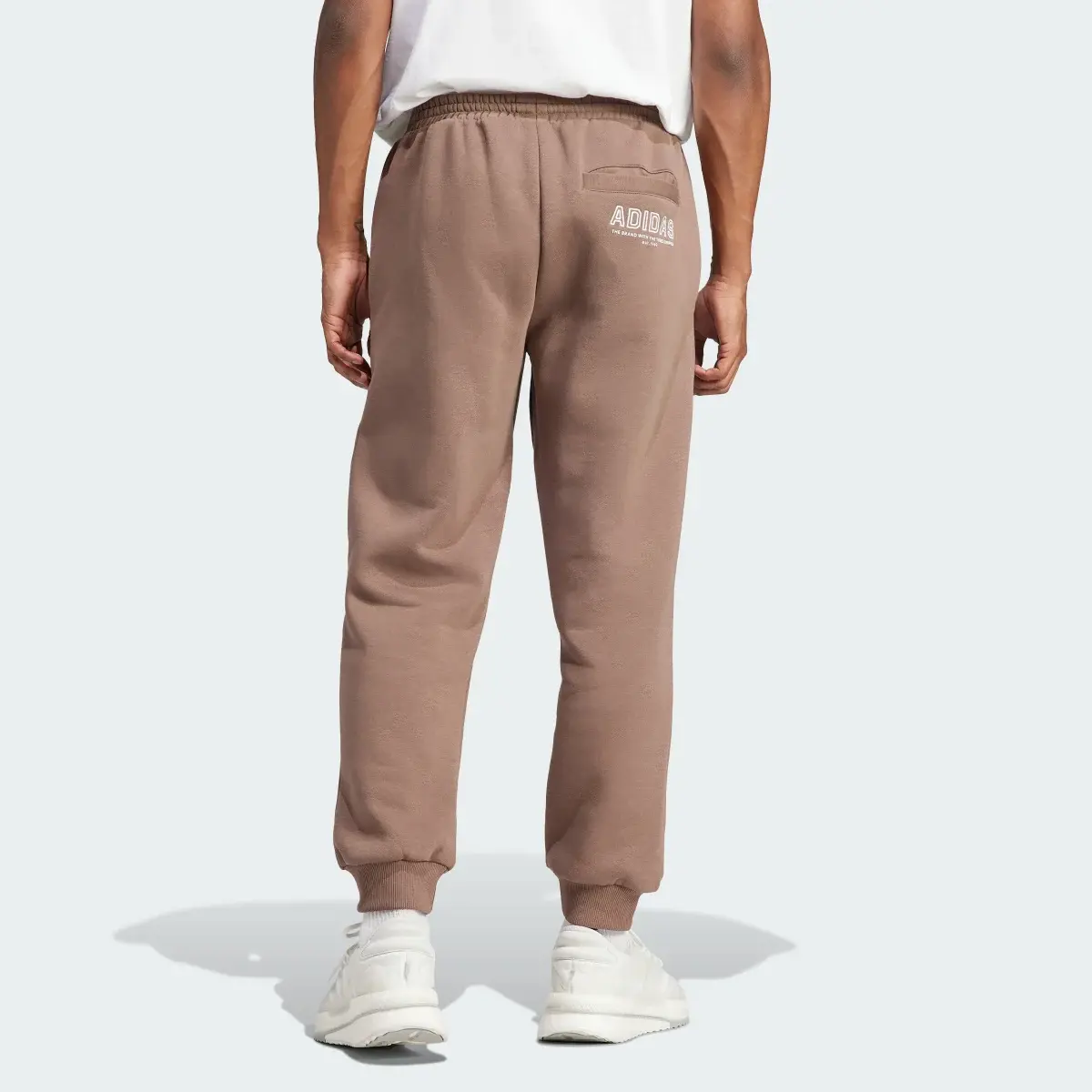 Adidas Last Days of Summer Pants. 2