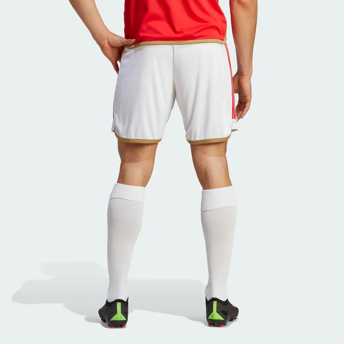 Adidas Pantalón corto primera equipación Benfica 23/24. 2