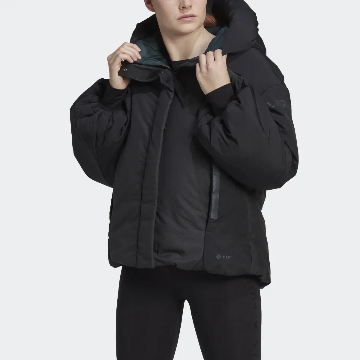 Adidas Terrex MYSHELTER COLD.RDY Jacket. 1