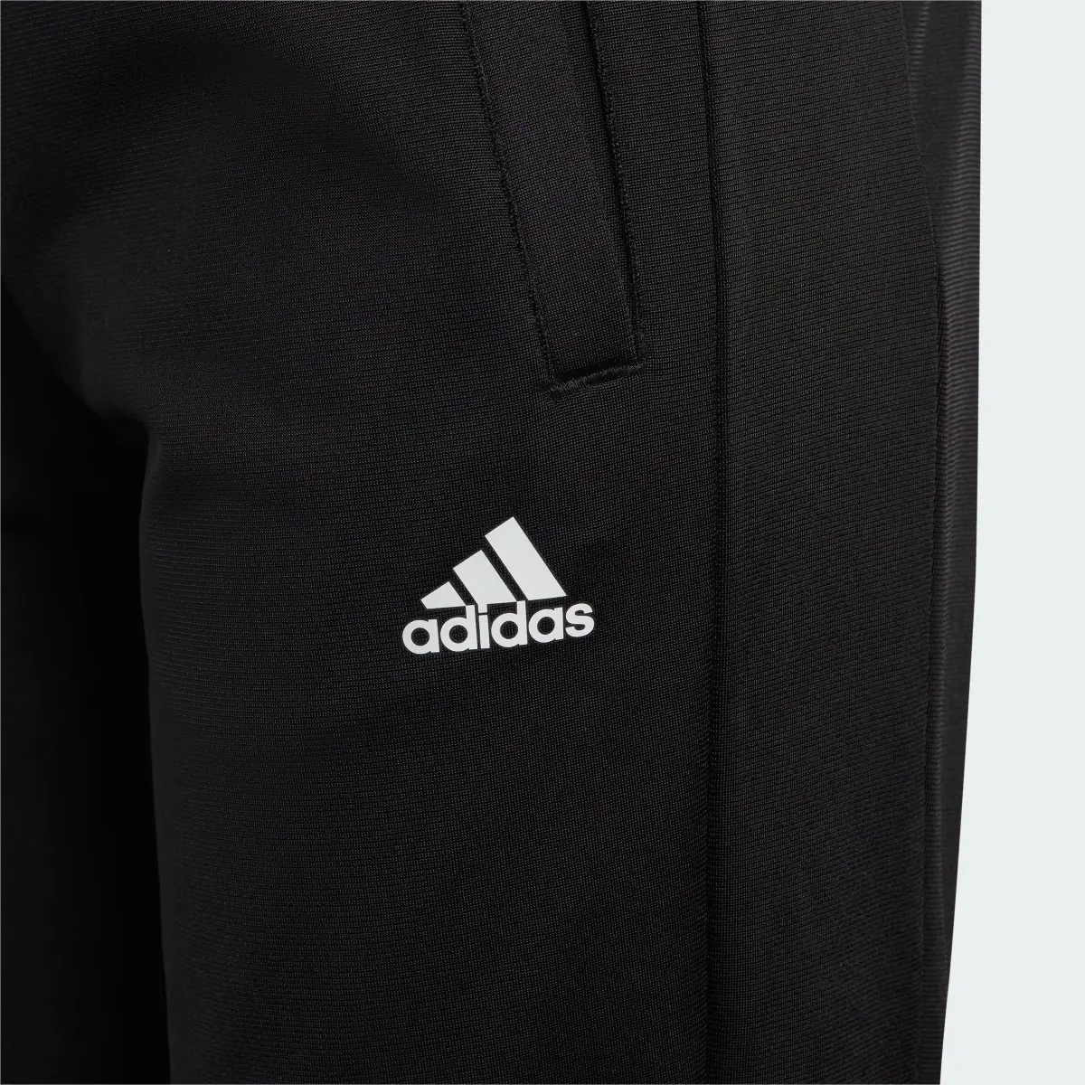 Adidas Essentials Big Logo Tracksuit. 2