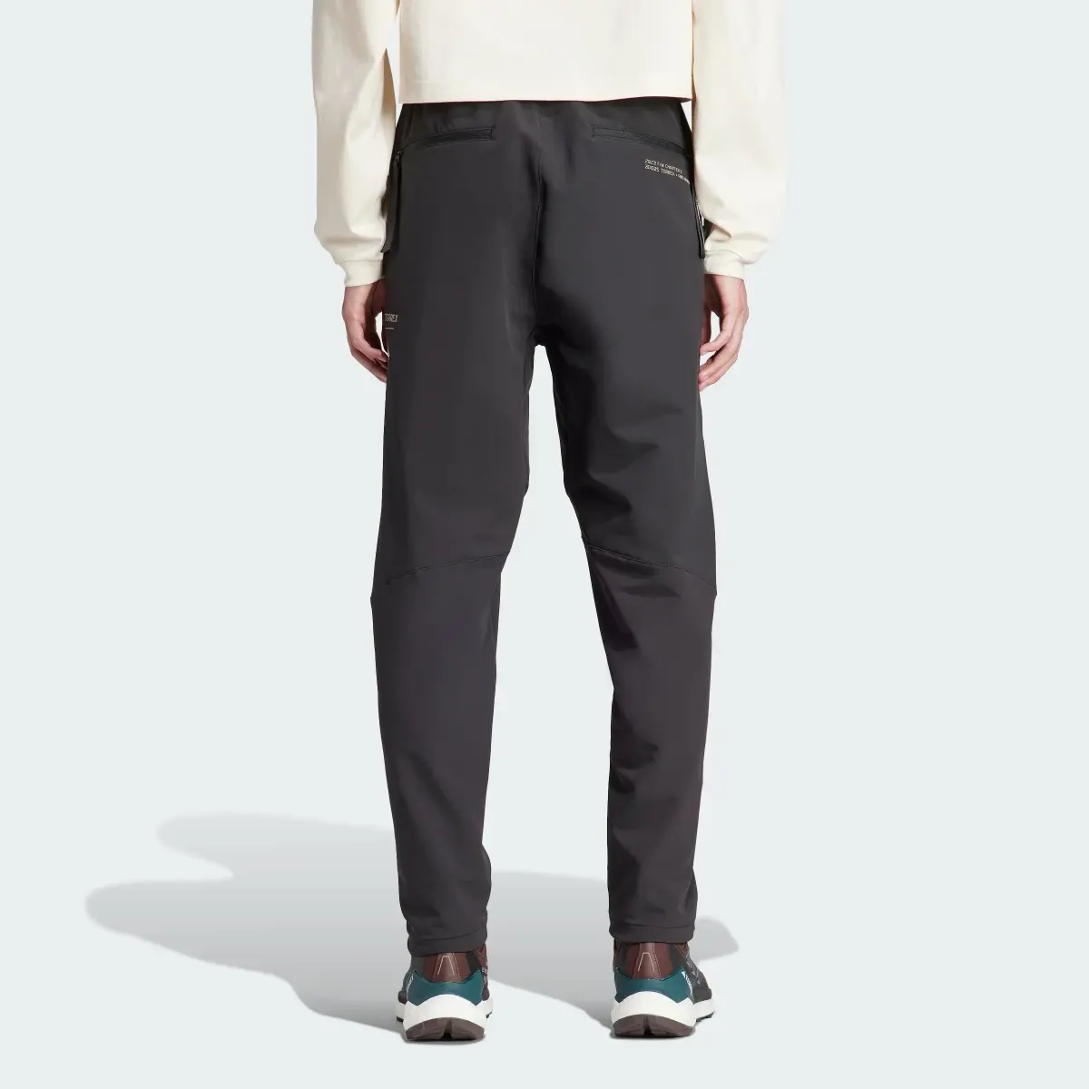 Adidas Terrex + and wander Xploric Pants. 2