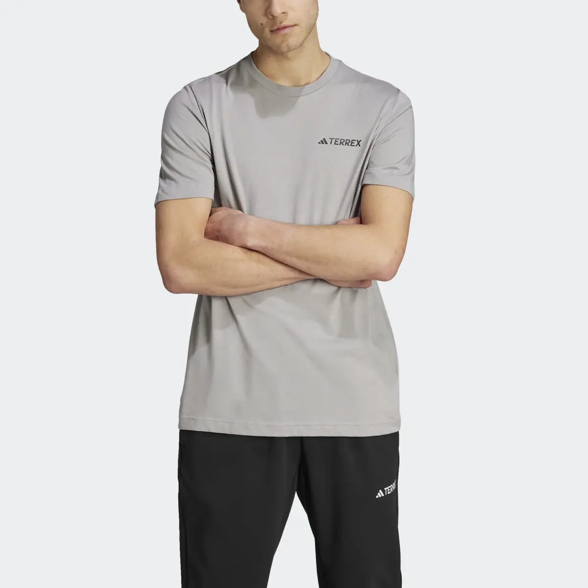 Adidas Terrex Graphic MTN 2.0 Tişört. 1