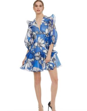 Flounce And Frill Detailed Embroidered Mini Dress