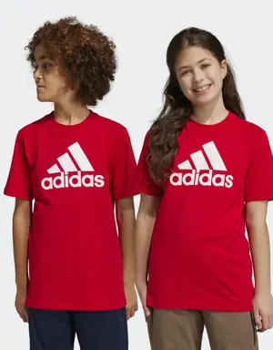 Adidas Essentials Big Logo Cotton Tee