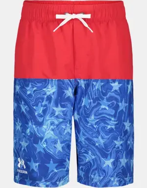 Little Boys' UA Liquid Star Colorblock Swim Volley Shorts