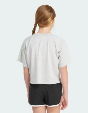 HTR WAIST LENGTH RAGLAN TEE