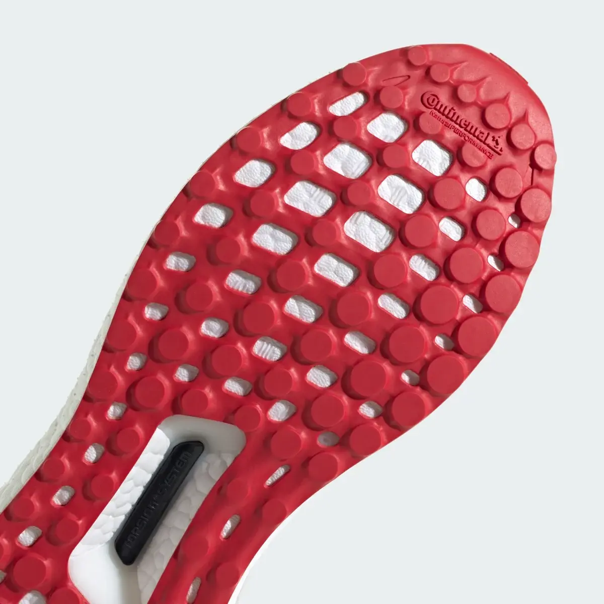 Adidas Ultraboost 1.0 Shoes - ID5879
