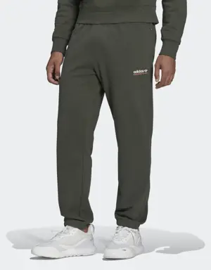 Pants adidas Adventure