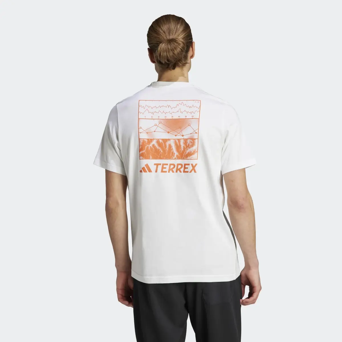 Adidas TERREX Graphic Altitude T-Shirt. 3