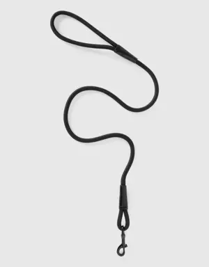 black dog leash