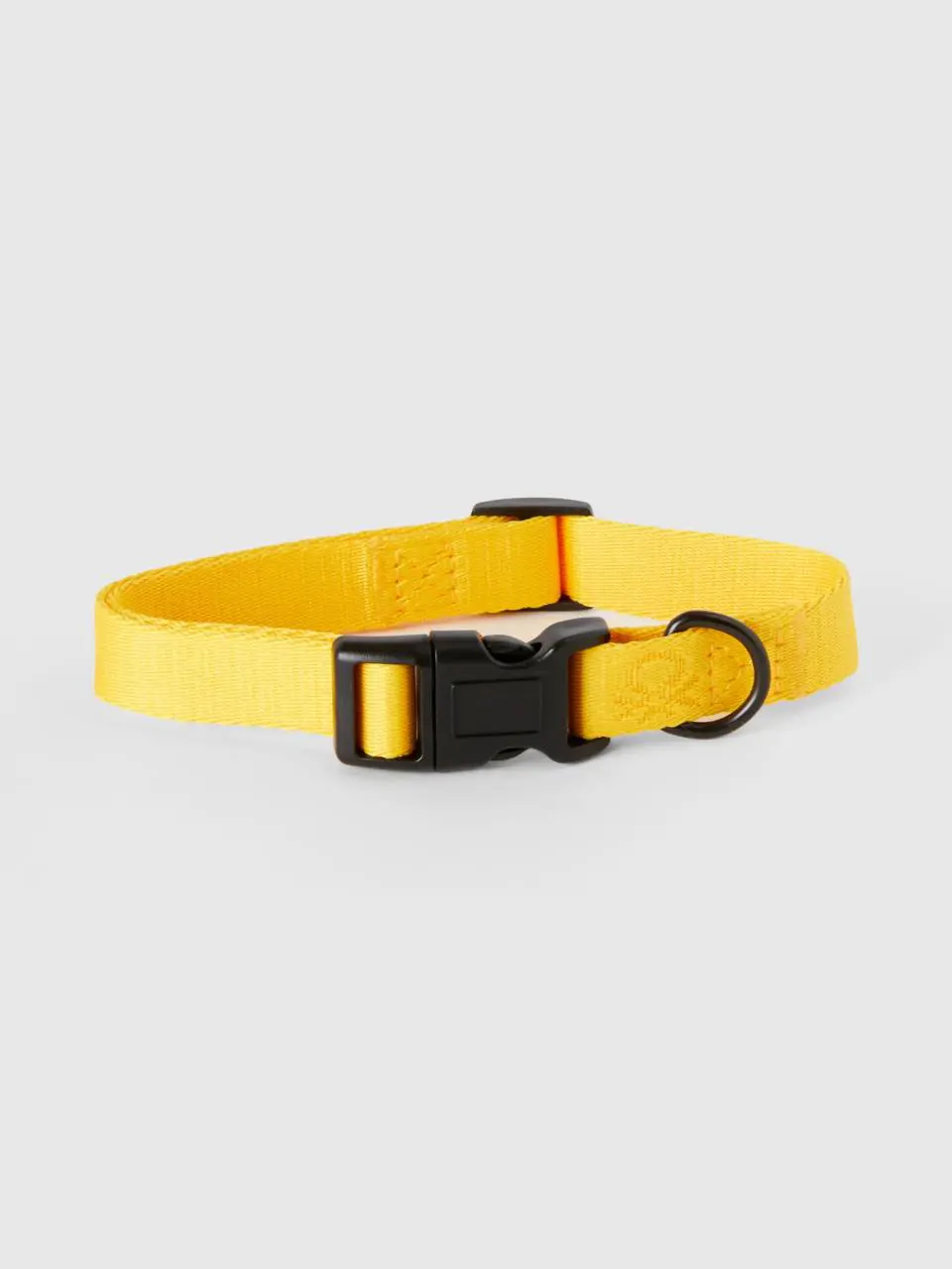 Benetton yellow dog collar. 1