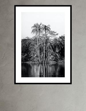 Banana Republic Palms and Nests by Nathan DeHart black