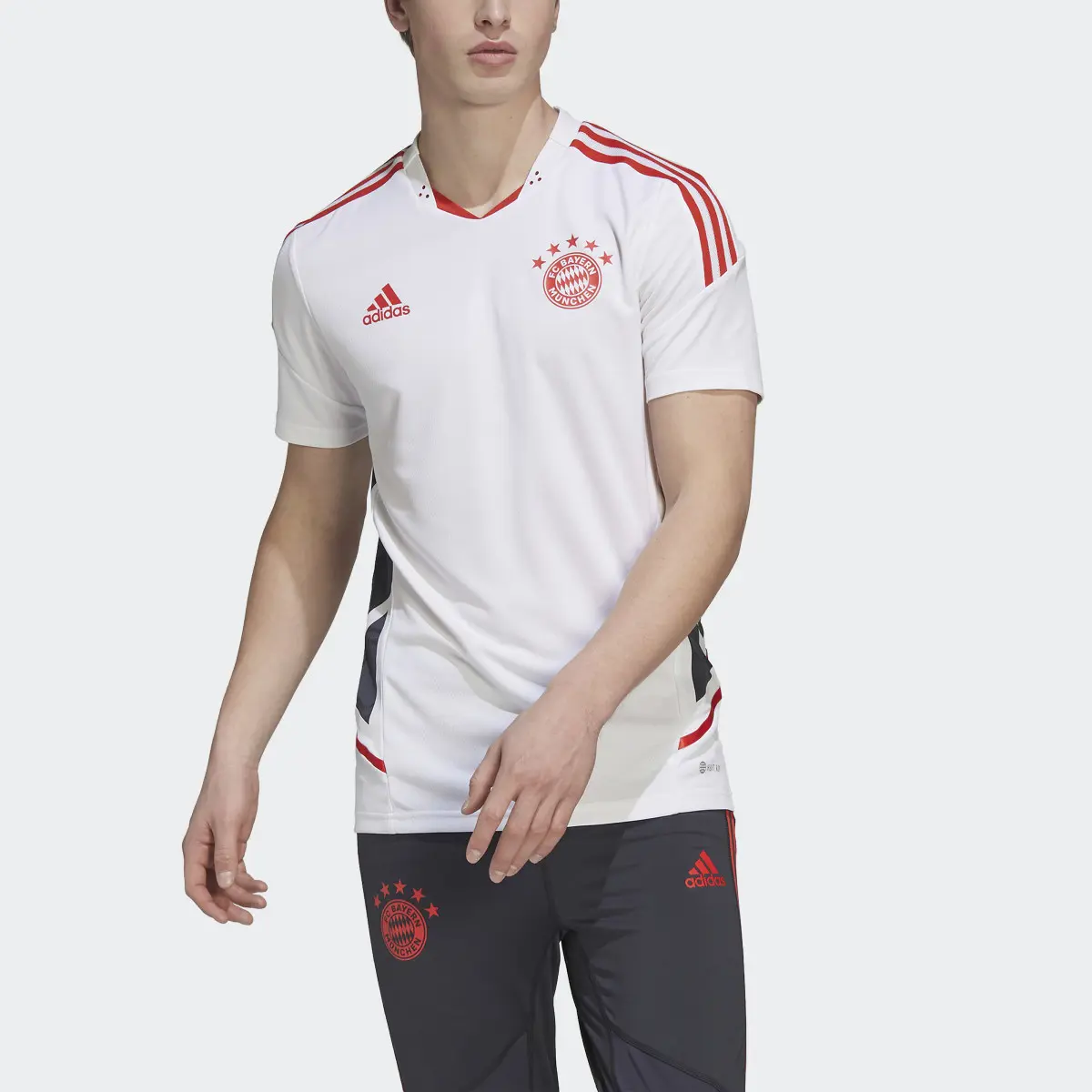 Adidas Camiseta FC Bayern Condivo 22 Pro. 1