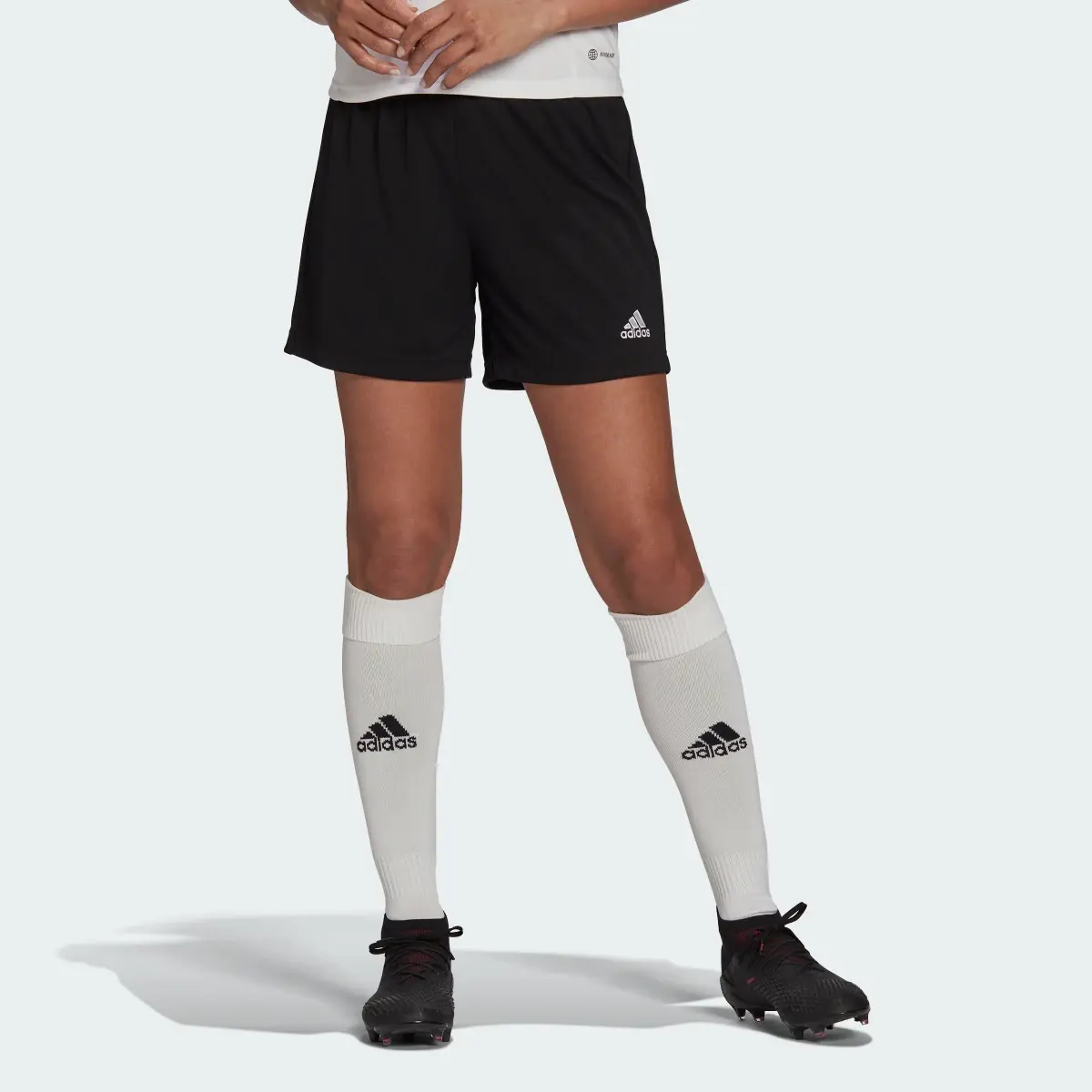 Adidas Entrada 22 Shorts. 1