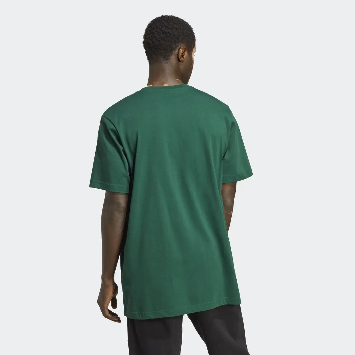 Adidas Adventure Mountain Front Tee. 3