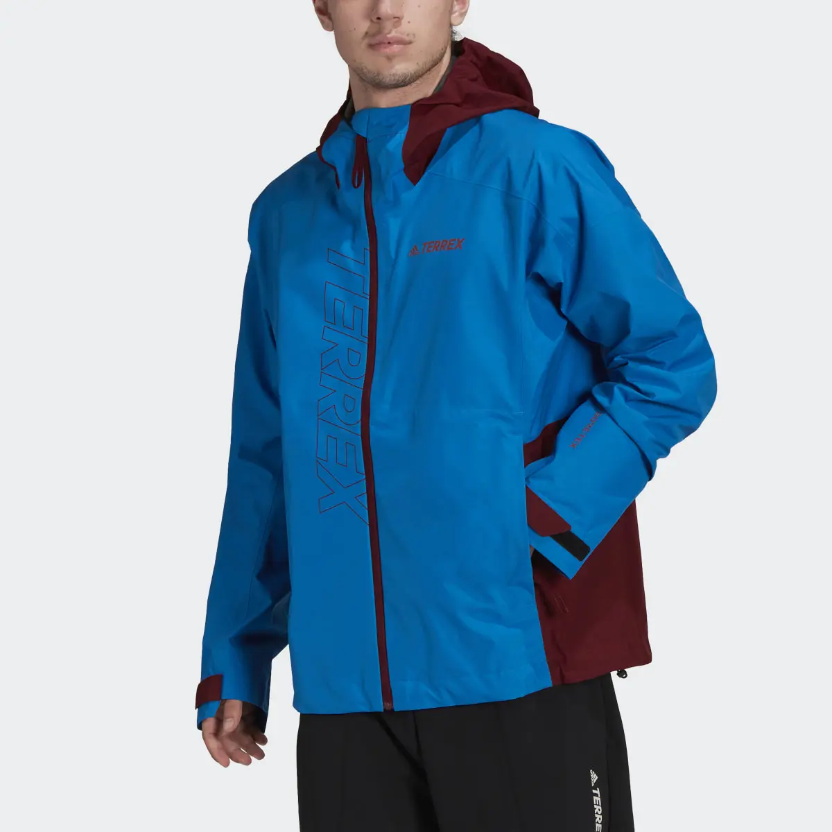 Adidas Terrex GORE-TEX Paclite Rain Jacket. 1