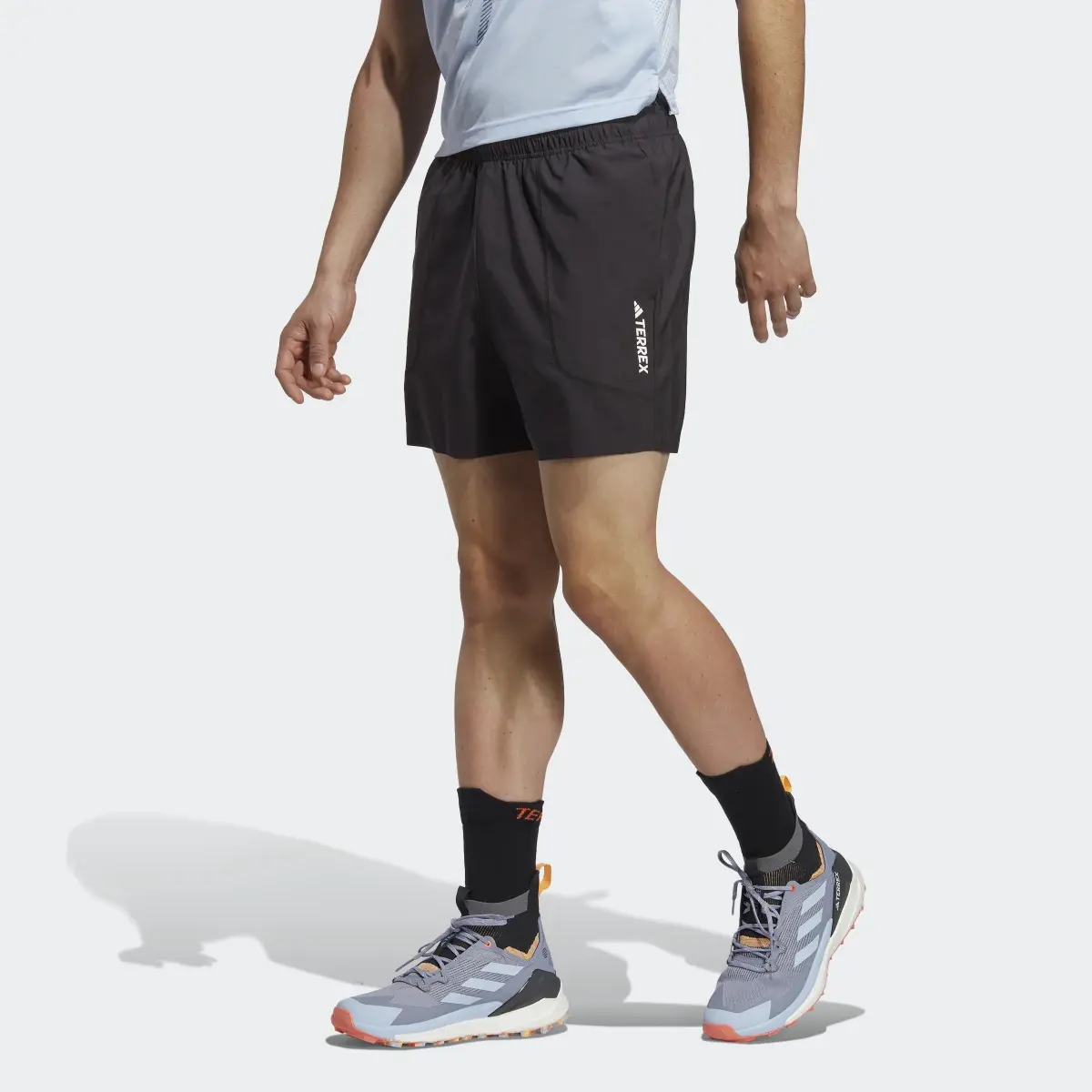 Adidas Terrex Multi Shorts. 1