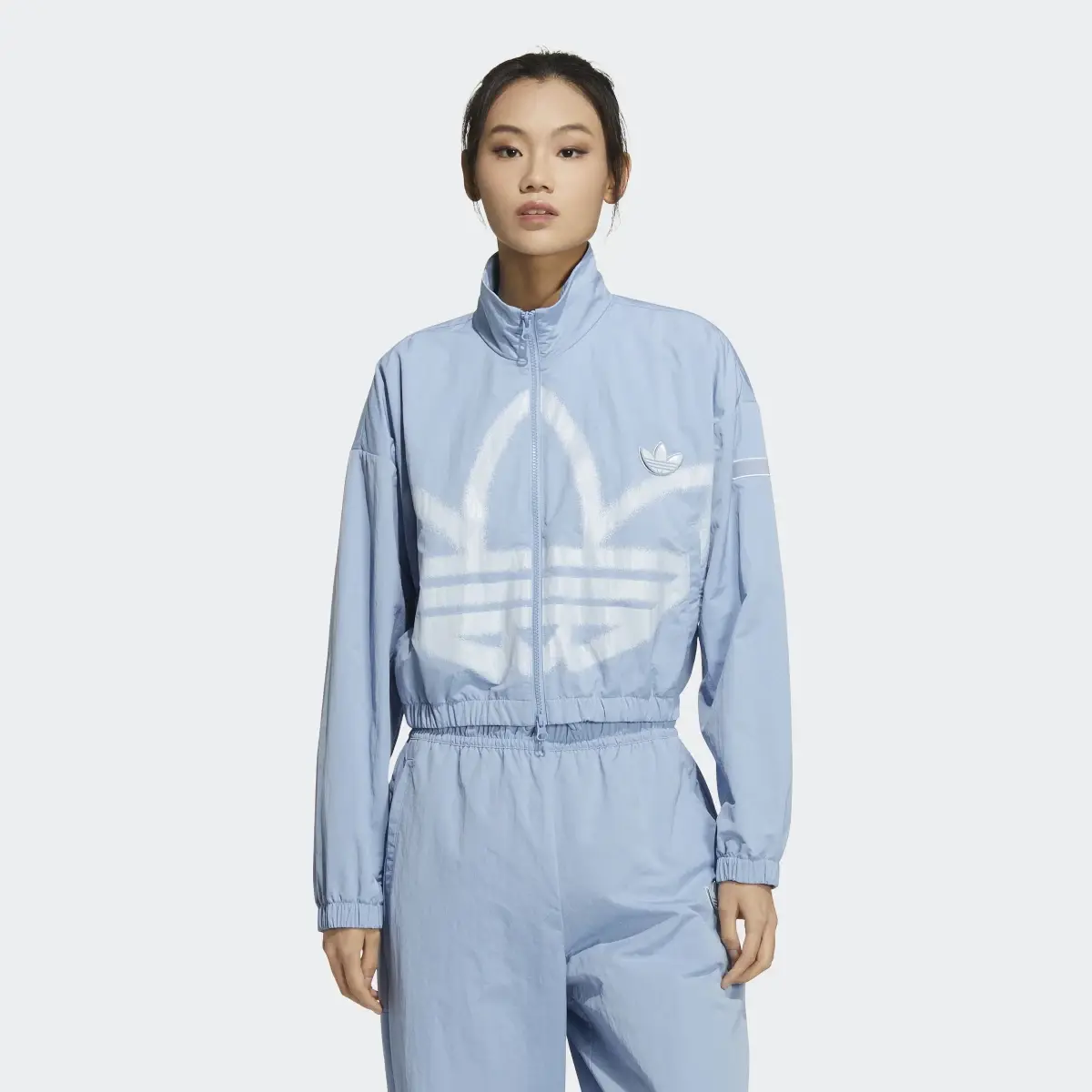 Adidas Adicolor Track Jacket. 2