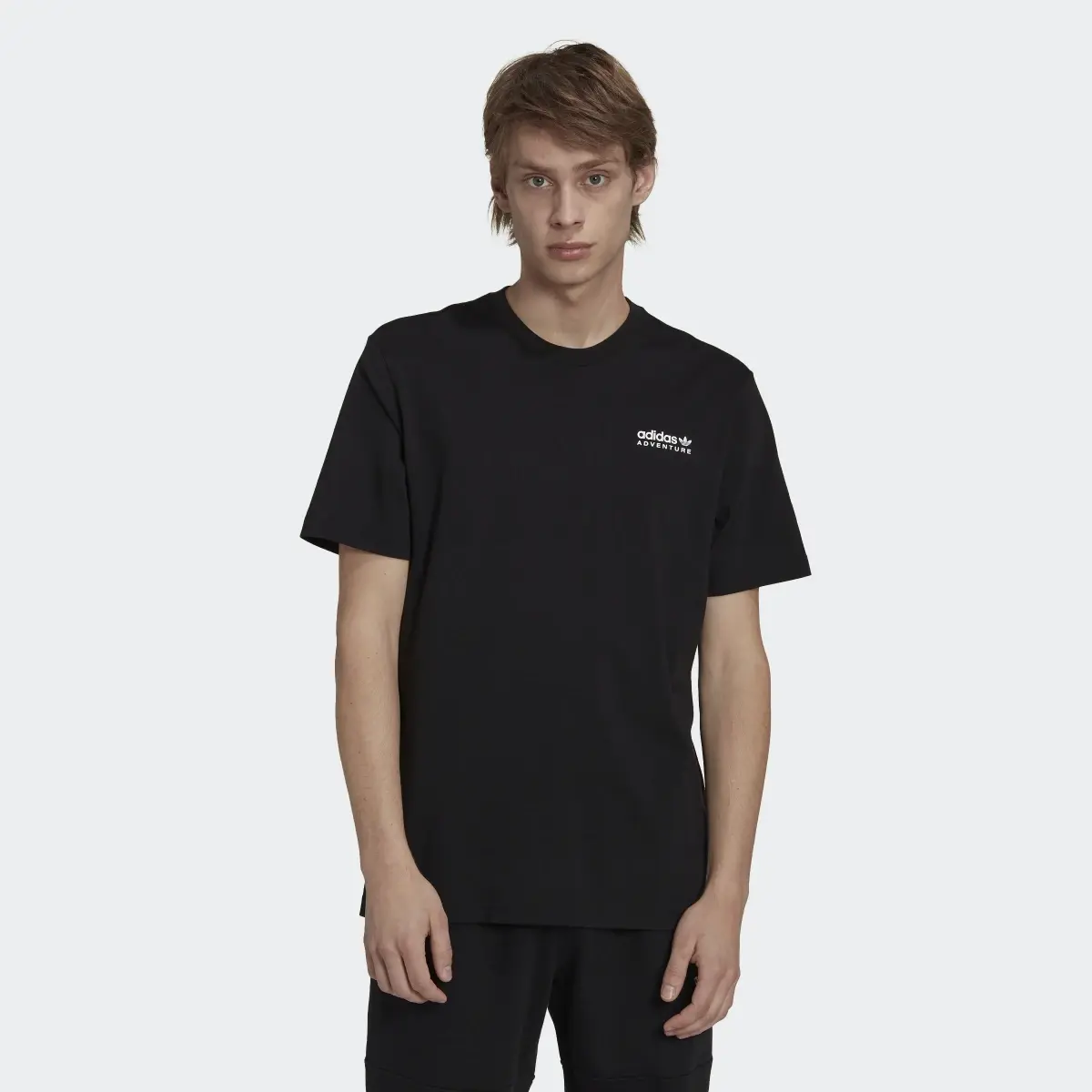 Adidas Adventure Mountain Back Tee. 2