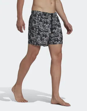 Adidas Short de bain graphique Coupe courte (non genré). 3