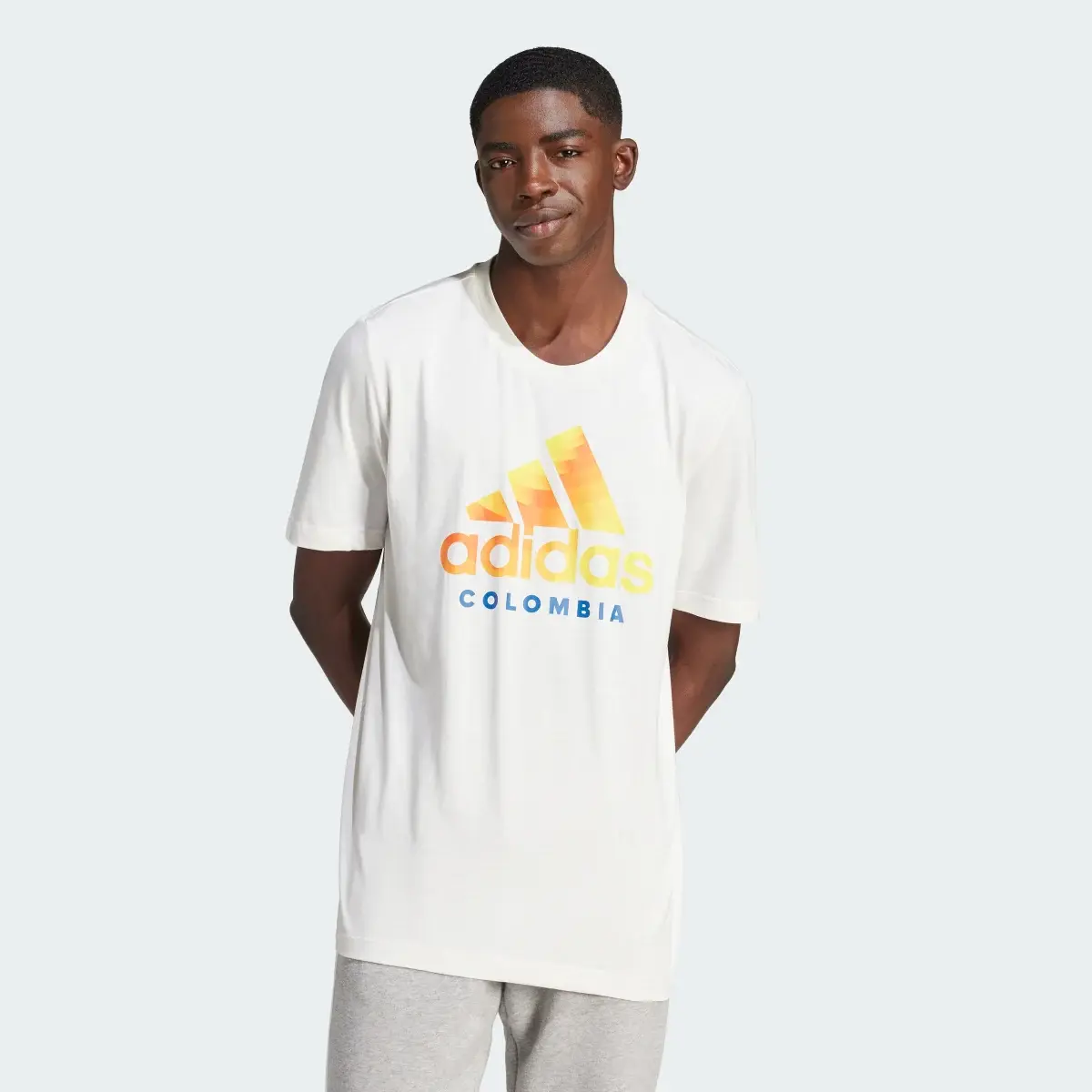 Adidas Colombia DNA Graphic Tee. 2