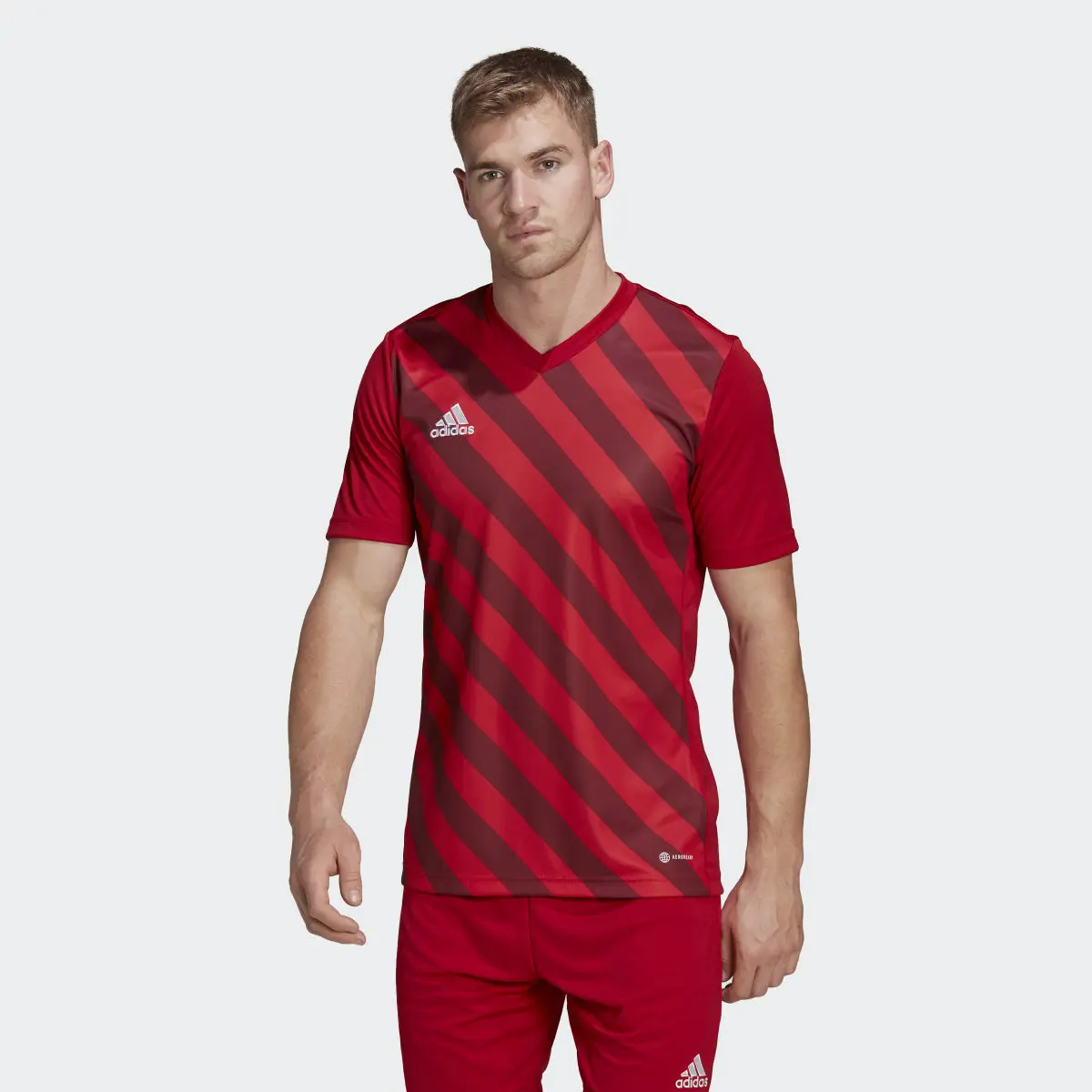 Adidas Jersey Entrada 22 estampado. 2