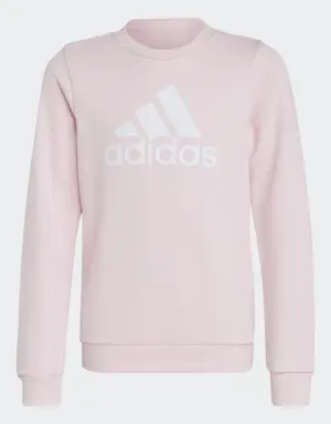Adidas Essentials Big Logo Cotton Sweatshirt