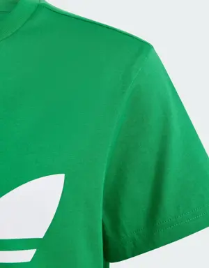 Adidas T-shirt Trefoil. 3 Adidas T-shirt Trefoil. 3
