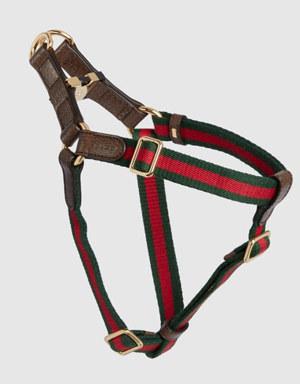 Small/medium pet harness