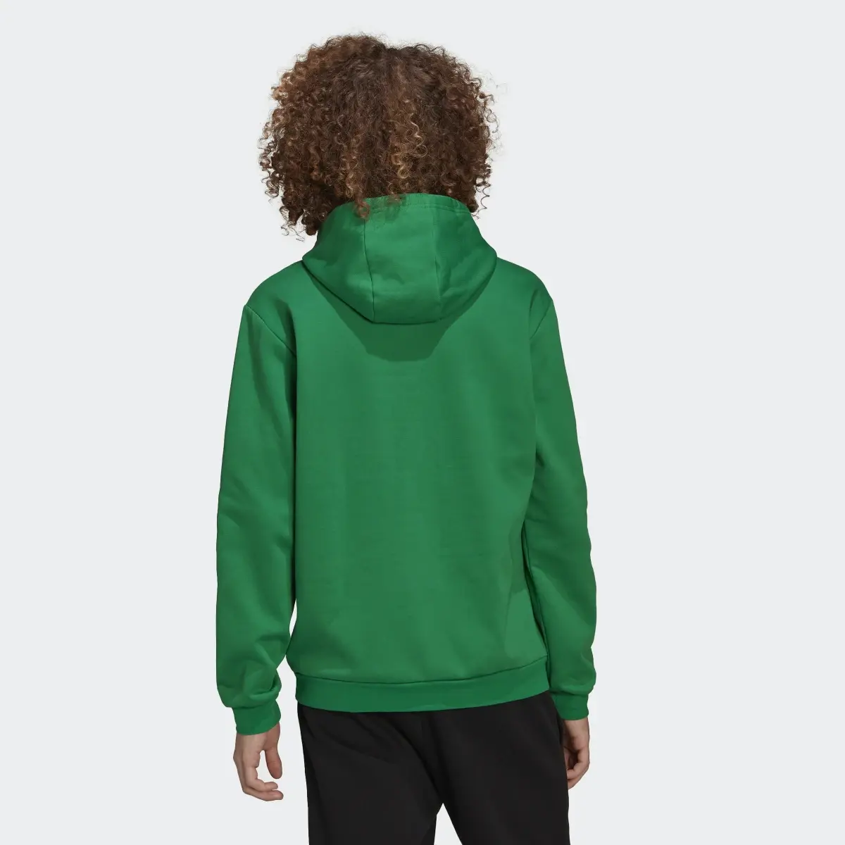 Adidas Sudadera con capucha Entrada 22. 3