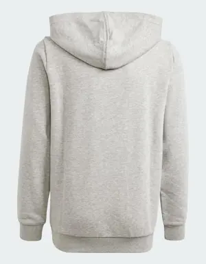 Essentials Two-Colored Big Logo Cotton Hoodie