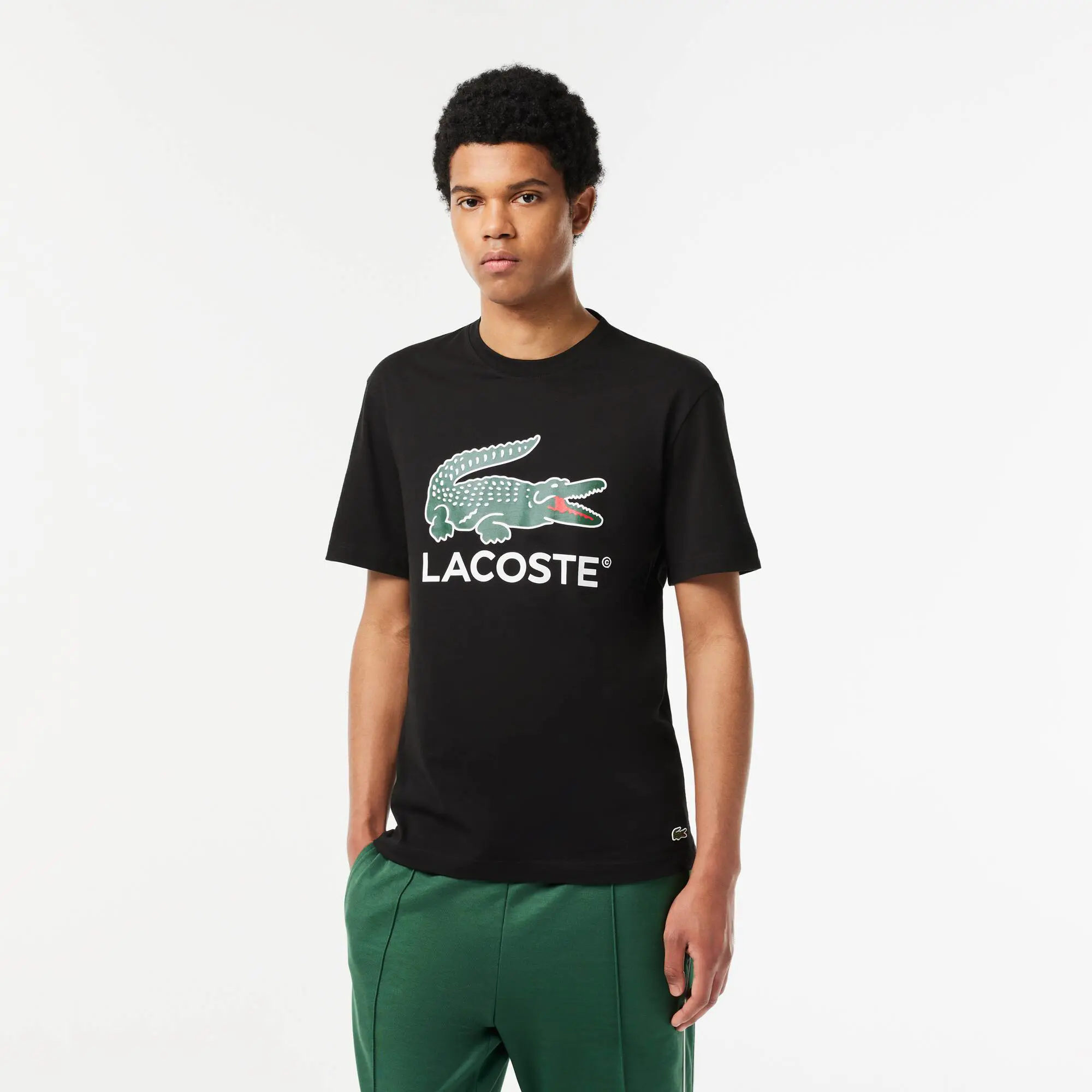 Lacoste T-Shirt aus Baumwoll-Jersey mit Signatur-Aufdruck. 1