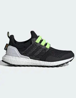 Ultraboost 1.0 Shoes