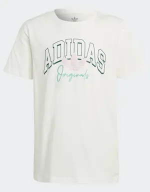 Adidas Collegiate Graphic Pack BF T-Shirt