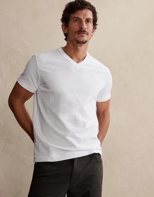 Banana Republic Rugged Slub V-Neck T-Shirt white