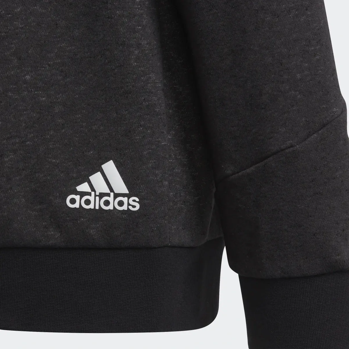 Adidas Future Icons 3-Stripes Hooded Sweatshirt. 3