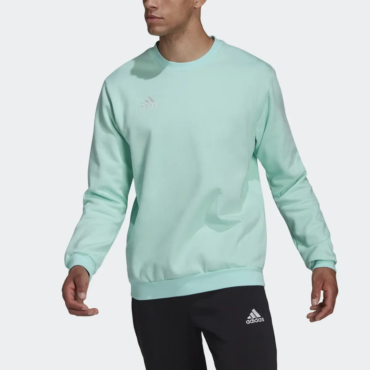 Adidas Sweatshirt Entrada 22. 1