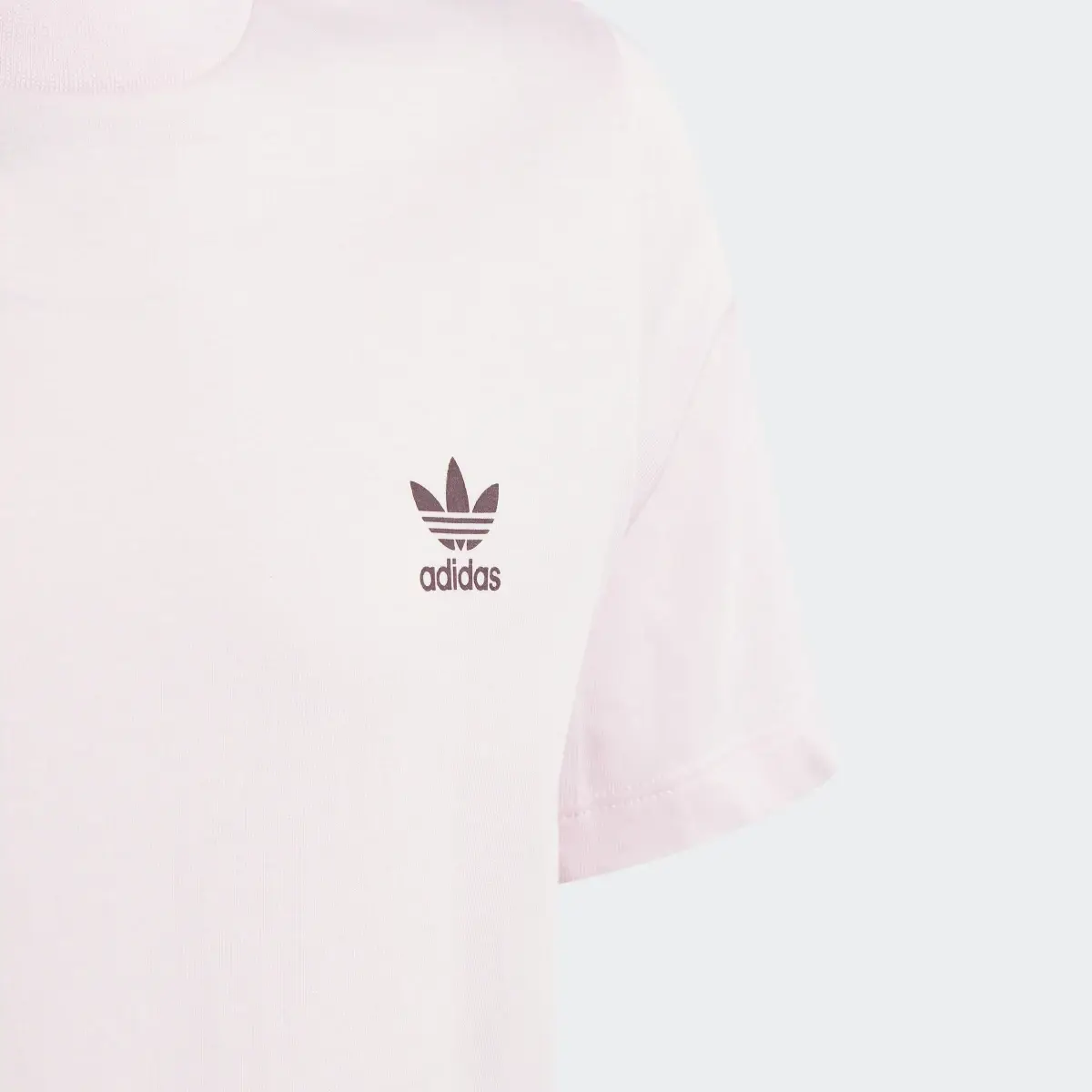 Adidas Adicolor Tee. 3