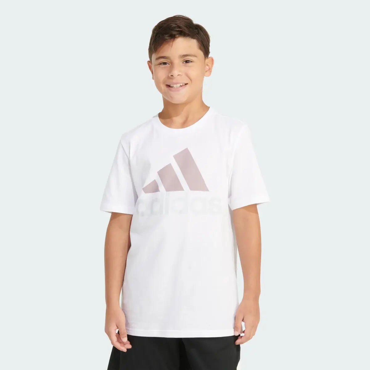 Adidas SS 2 COLOR LOGO TEE24. 1