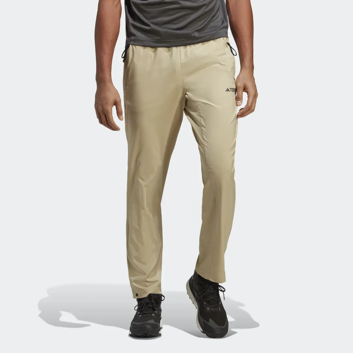 Adidas Terrex LiteFlex Pants. 1