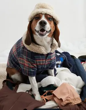 OFFLEASH By Aerie Flannel Dog Shirt