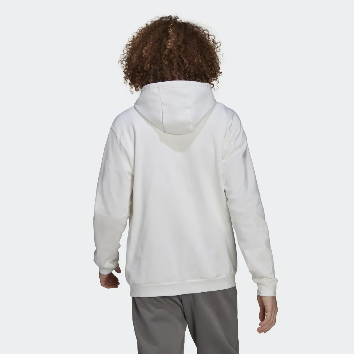 Adidas Entrada 22 Sweat Hoodie. 3