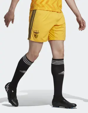 Benfica 22/23 Away Shorts