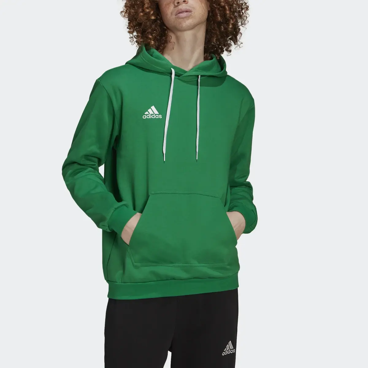 Adidas Camisola com Capuz Entrada 22. 1