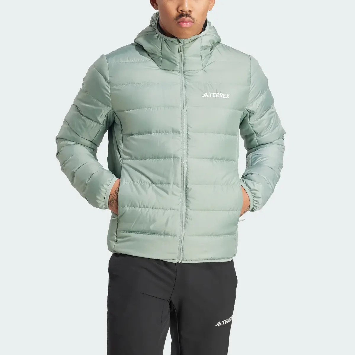 Adidas Terrex Multi Light Down Hooded Jacket. 1