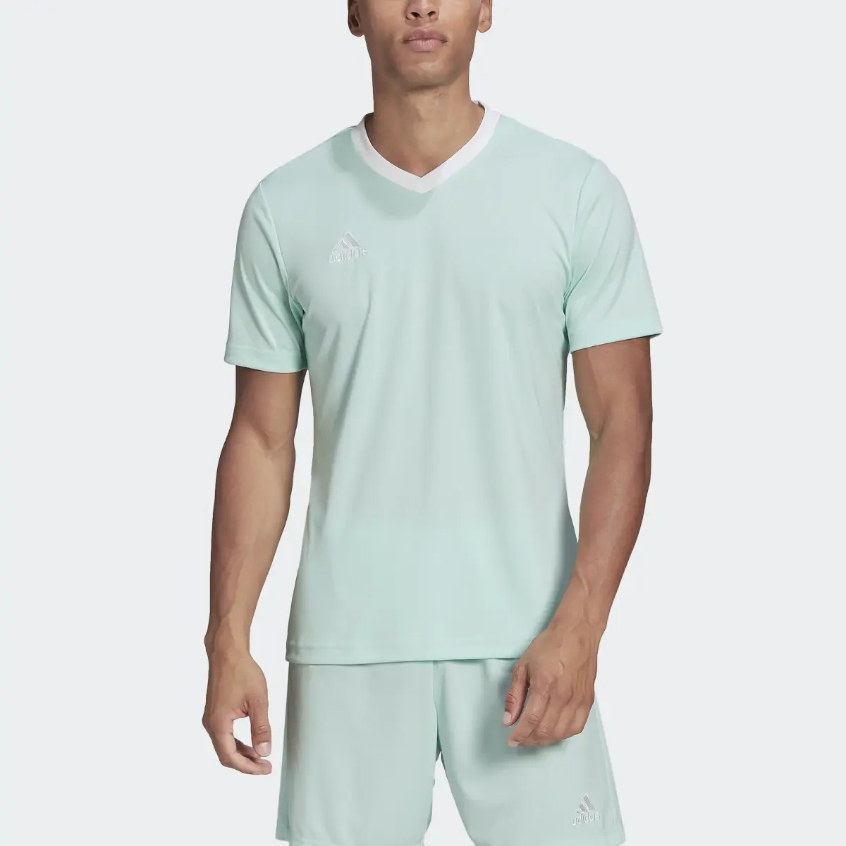 Adidas Camisola Entrada 22. 1