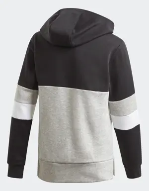 Linear Colorblock Hooded Fleece Hoodie