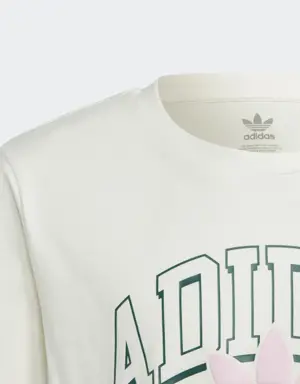 Adidas Collegiate Graphic Pack BF Tee. 3 Adidas Collegiate Graphic Pack BF Tee. 3