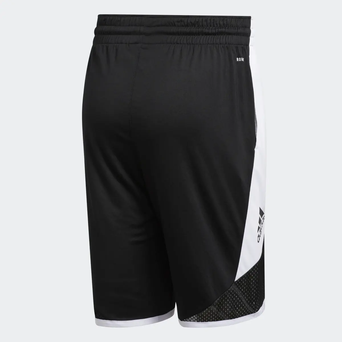 Adidas Pro Madness Shorts. 2