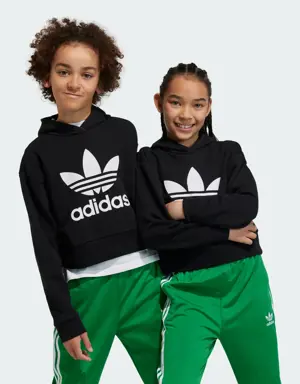 Adidas Sweat-shirt à capuche court Adicolor